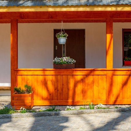 Apartament Lesny Zakopane Dış mekan fotoğraf