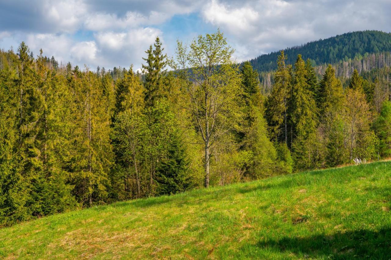 Apartament Lesny Zakopane Dış mekan fotoğraf