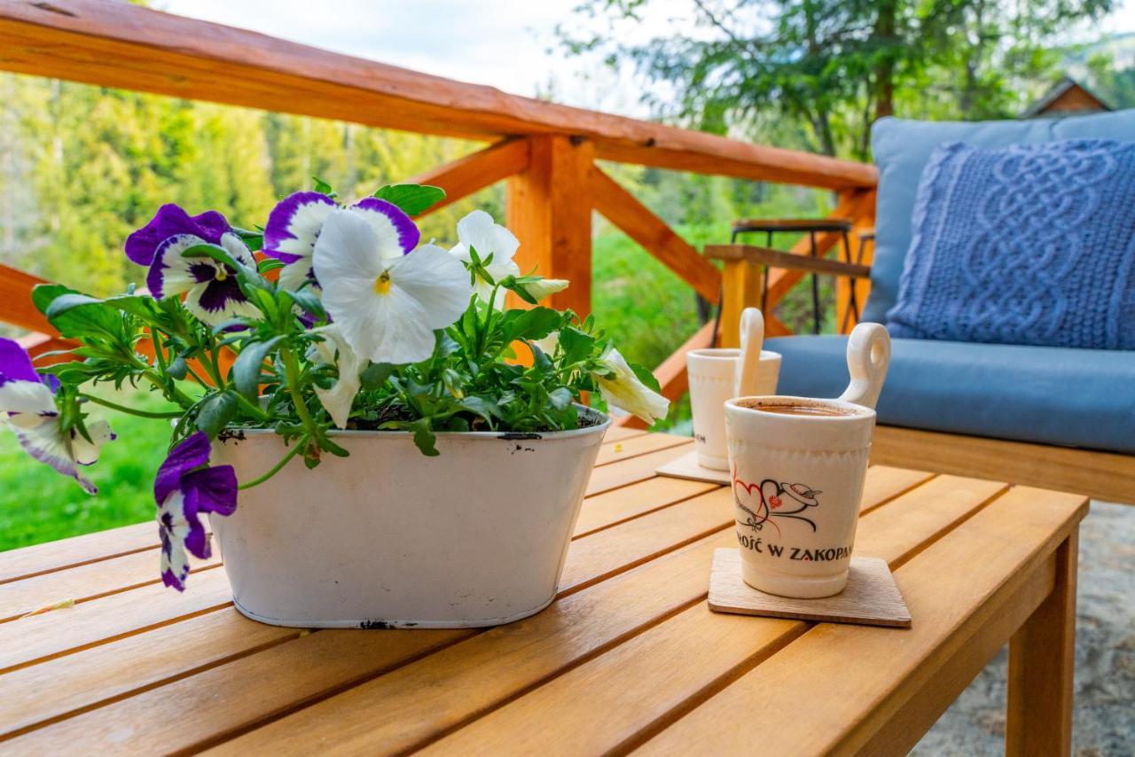 Apartament Lesny Zakopane Dış mekan fotoğraf